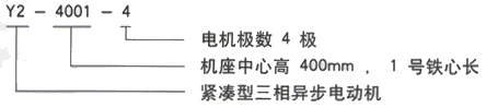 YR系列(H355-1000)高压Y450-12/6KV  三相异步电机西安西玛电机型号说明